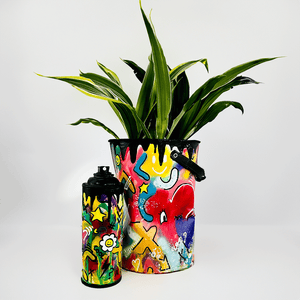 Custom Graffiti indoor Plant pots